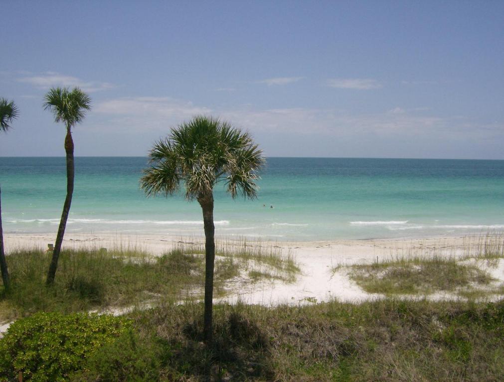 Club Bamboo South - Bradenton Beach Eksteriør billede
